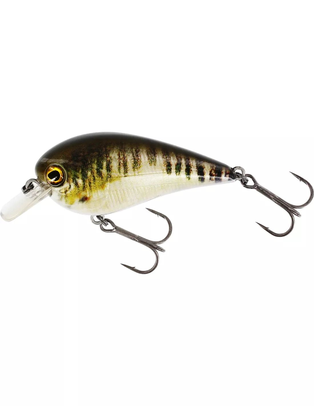 Westin - Bassbite Squarebill - Hengelsport De Goeie Vangst