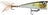 Rapala-X-Light Pop-Ayu-4cm-Hengelsport De Goeie Vangst