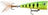 Rapala-X-Light Pop-Firetiger-4cm-Hengelsport De Goeie Vangst
