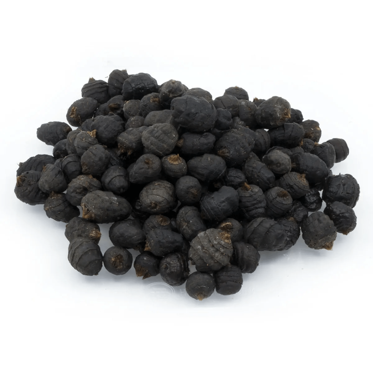 All - In Partikels - Zwarte Tijgernoten in Pot | 1kg - Hengelsport De Goeie Vangst