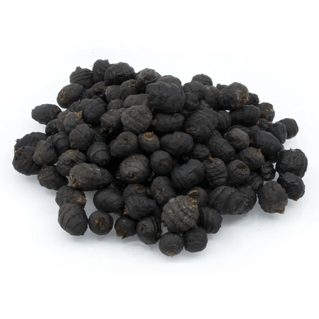 All - In Partikels - Zwarte Tijgernoten in Pot | 1kg - Hengelsport De Goeie Vangst