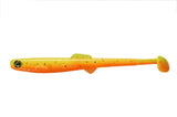 Anchovy Shad