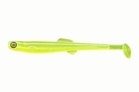 Anchovy Shad