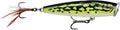 Rapala-Skitter Pop Elite-Glided Lime Frog-7.5cm-Hengelsport De Goeie Vangst