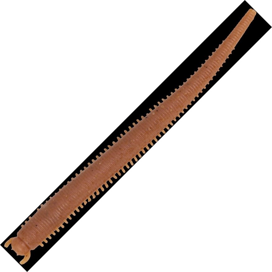 Berkley - Gulp! Saltwater Fat Sandworm | 10cm - 1562565 - Hengelsport De Goeie Vangst