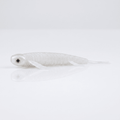 Bite On-Fury Softbait-9cm-Arctic Pearl-De Goeie Vangst