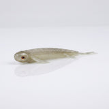 Bite On-Fury Softbait-9cm-Minnow Fish-De Goeie Vangst