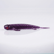 Bite On-Fury Softbait-9cm-Violet-De Goeie Vangst