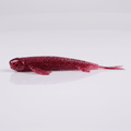 Bite On-Fury Softbait-9cm-Blood Ruby-De Goeie Vangst