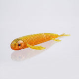 Bite On-Fury Softbait-9cm-Caramel Oil-De Goeie Vangst