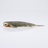 Bite On-Fury Softbait-9cm-AYU-De Goeie Vangst