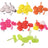 Carp Spirit-Corn Boilie Stops (20 stuks)-07 - Hengelsport De Goeie Vangst