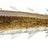Prorex-Prorex Pelagic Shad-Motor oil ayu-14cm-Hengelsport De Goeie Vangst