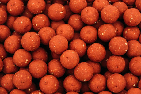 Cuyten-Berries Boilies-1kg-15mm-Hengelsport De Goeie Vangst