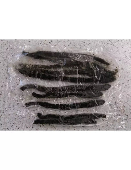 De Goeie Vangst - Verse Tappen - Hengelsport De Goeie Vangst