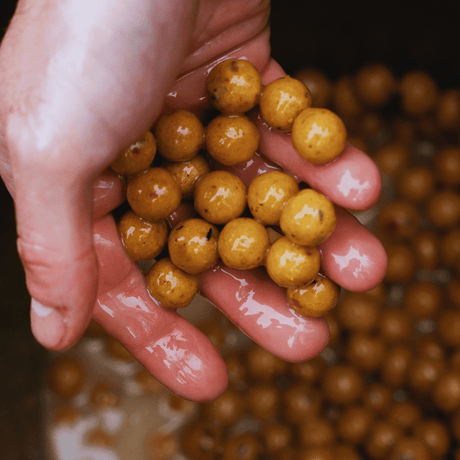 Dynamite Baits - Peppered Fruit Boilies | 1kg - DY1917 - Hengelsport De Goeie Vangst