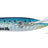 Fiiish-Hypno Cast-Sardine-10g-Hengelsport De Goeie Vangst