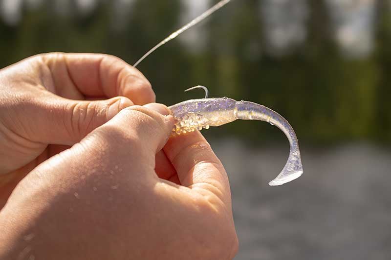 Fox Rage - Scent Shad - Hengelsport De Goeie Vangst