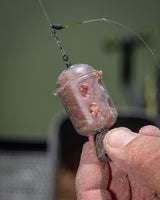 Maggot Feeders
