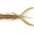 Lucky John-Hogy Shrimp-Shrimp-7,5cm-Hengelsport De Goeie Vangst
