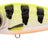 Spro-Iris Flanky Hardlure-Hotperch-9cm-Hengelsport De Goeie Vangst