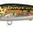 Spro-Iris The Kid-Brown Trout-5.8cm-Hengelsport De Goeie Vangst