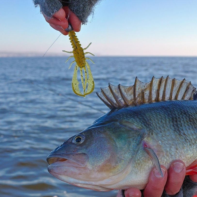 Kuore - Bouncer Creature Bait -  - Hengelsport De Goeie Vangst