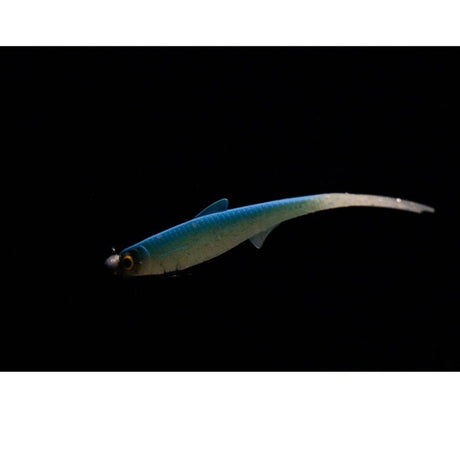 Kuore - Phantom -  - Hengelsport De Goeie Vangst