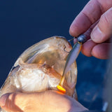 Kuore - Recoil Shad -  - Hengelsport De Goeie Vangst