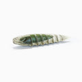 Nays-ND (NED)-6.5cm / 2.5"-C21-Hengelsport De Goeie Vangst