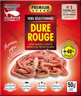 Normandie Appats-Dure Rouge Zeepieren-30g - De Goeie Vangst