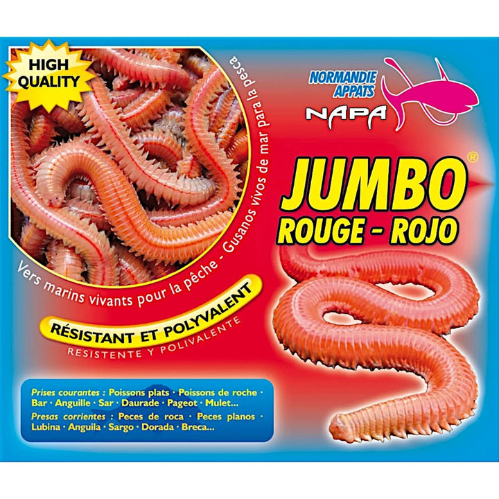 Normandie Appats-Jumbo Rouge-Rojo Zagers 50g - De Goeie Vangst
