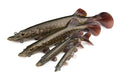 Fox Rage-Ultra-Realistic Pike Replicant-NoColour-15cm-Hengelsport De Goeie Vangst