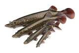 Fox Rage-Ultra-Realistic Pike Replicant-NoColour-15cm-Hengelsport De Goeie Vangst