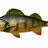 Dam-Effzett Perch Spoon-Perch-7cm (17g)-Hengelsport De Goeie Vangst