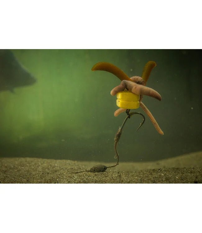 Pole Position-Maïs Maggot Clip – Single / Double-Single - De Goeie Vangst