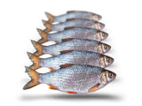 Prebaits - Voorn Middel - Aasvis - Hengelsport De Goeie Vangst