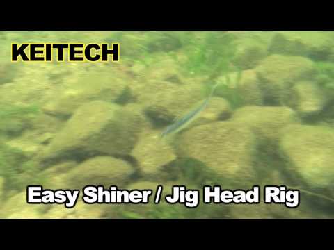 Easy Shiner | 4.5 Inch