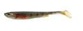 Prorex-Slim Shady-10.5cm-Gold Perch-Hengelsport De Goeie Vangst