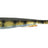 Prorex-Slim Shady-10.5cm-Real Perch-Hengelsport De Goeie Vangst