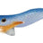Ragot Begix Egi 10 cm – BL