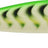 Rapala-Countdown® Squid Elite | 9,5 cm-9,5 cm-GGT-De Goeie Vangst