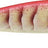 Rapala-Countdown® Squid Elite | 9,5 cm-9,5 cm-PSR-De Goeie Vangst