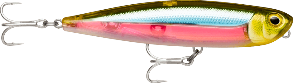 Rapala - PXR Pencil 107 Saltwater | 10.7cm | 21g - Hengelsport De Goeie Vangst