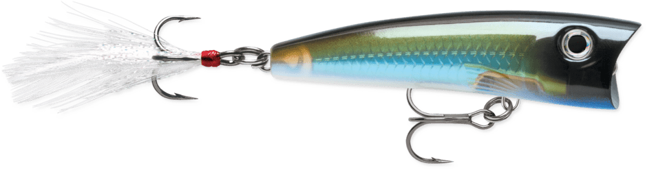 Rapala - X - Rap Pop - Hengelsport De Goeie Vangst