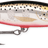 Rapala-Deep Tail Dancer-Silver Flash-7cm-Hengelsport De Goeie Vangst