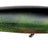 Spro-Spin John 80 Spybait-real perch - Hengelsport De Goeie Vangst