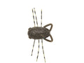 Reins-Chibisecter 1.15"-2.8 cm (1.15 inch)-Green Pumpkin-Hengelsport De Goeie Vangst