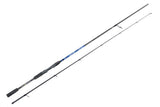Ecosystem Saltwater Spinhengel