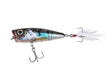 Salmo-Floating Rattlin' Pop-7cm-Clear Holo Smelt-Hengelsport De Goeie Vangst